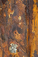 Patina 11